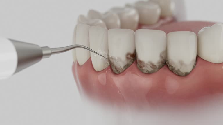 Reliable Dental contractor in Garfield County County, MT by Dentist Open Now